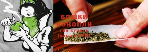 меф Пересвет
