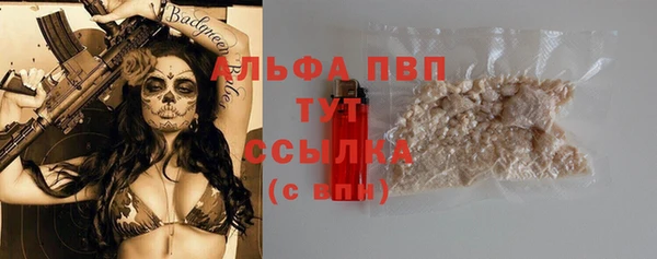 хмурый Пестово