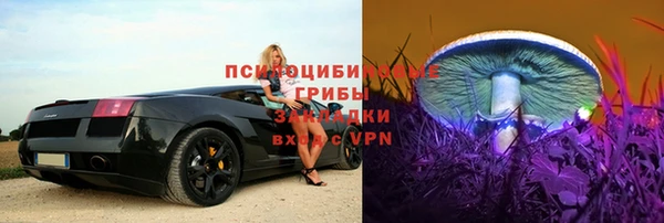прущая мука Переславль-Залесский