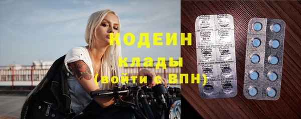 хмурый Пестово