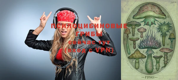 прущая мука Переславль-Залесский