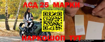 шишки Апшеронск