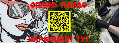 шишки Апшеронск