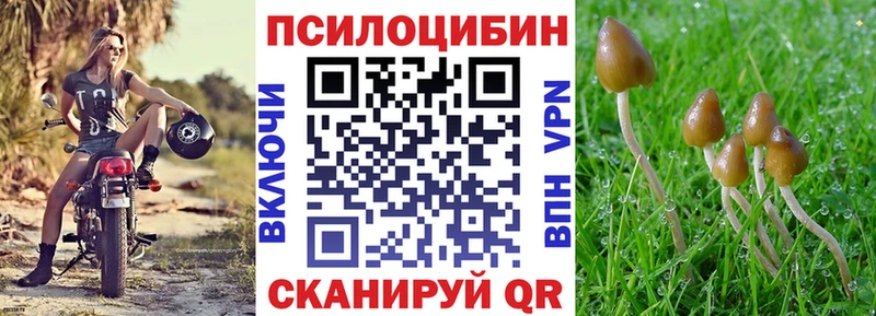 где купить наркотик  Апшеронск  Галлюциногенные грибы ЛСД 