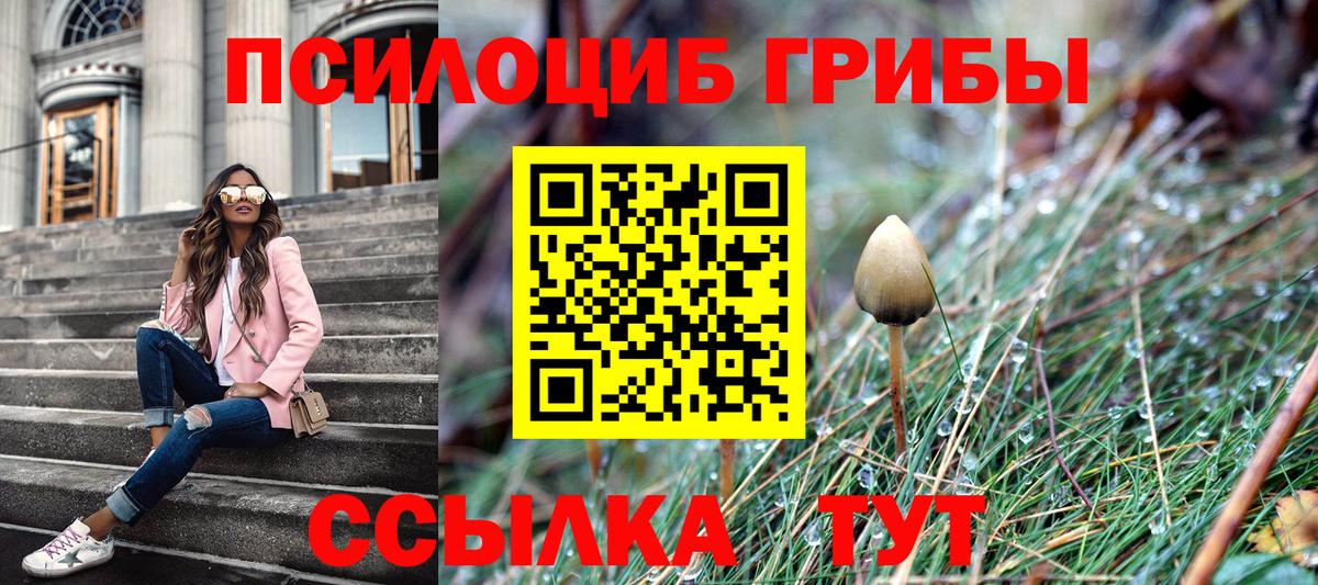 Галлюциногенные грибы Psilocybine cubensis Апшеронск